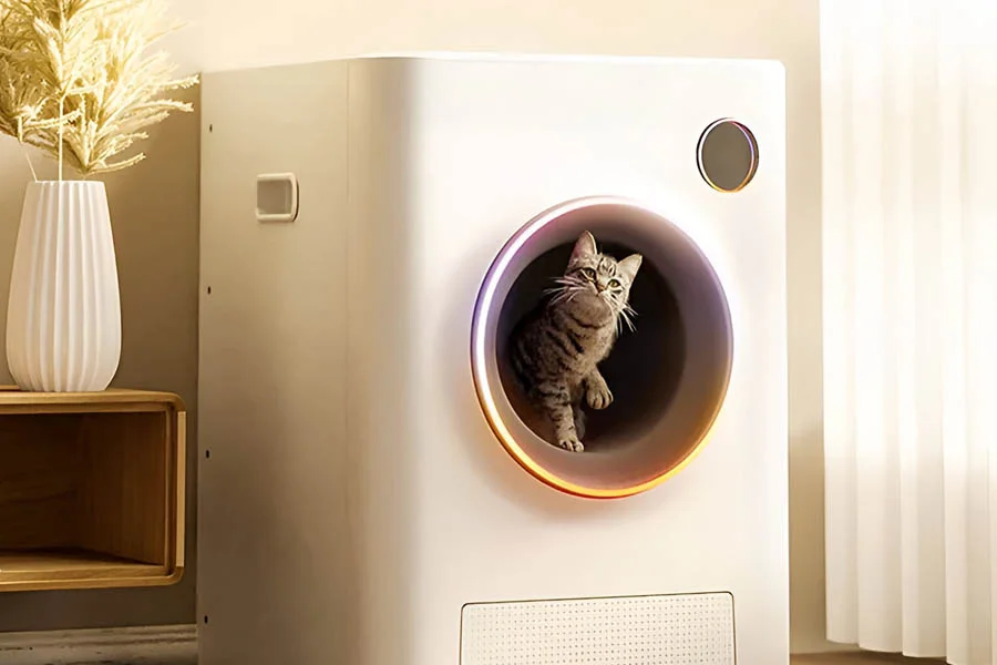 the litter box